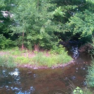 Meet your Posher, Rebekah